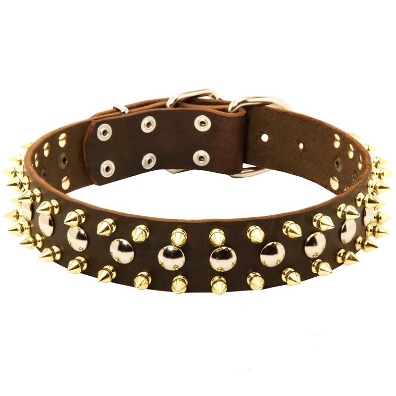 Коричневый ошейник для большой собаки «Four-Pawed Charm» с шипами
